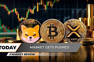 也许是Shiba Inu最近市场历史上最关键的点之一