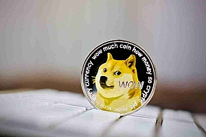 加密分析师Joao Wedson对Dogecoin的兴趣重新点燃了对Dogecoin的兴趣,这表明流行的Memecoin可能会为另一个重大举措做好准备。