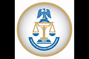SEC警告尼日利亚人不投资惩罚者硬币(双关)