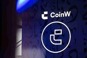 COINW研究:在区块链时代导航价值和风险