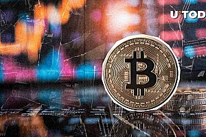 比特币短裤以BTC价格上涨240%。