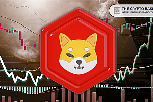Shiba Inu(Shib)可以删除一个零,并标志着前所未有的价格集会