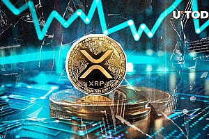 Polymarket Bettors今年4月只有2%的机会在XRP上取得新的纪录。