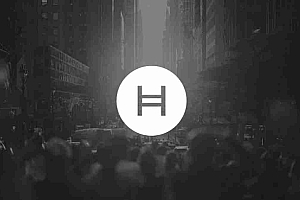 Hedera介绍了Hashsphere:企业的新私人区块链