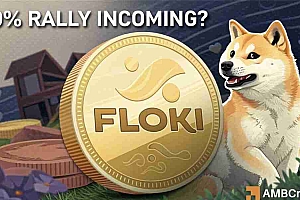 在市场正在进行的恢复中,Floki INU(Floki)形成了看涨的价格行动模式