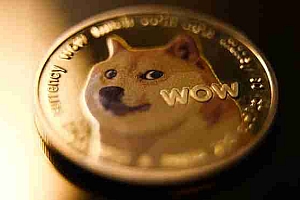 PKR中的Dogecoin(Doge)价格