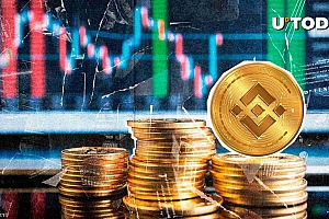 Binance Coin(BNB)展示了当今挥发性加密市场的独特趋势。