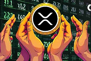XRP持有人尽管价格疲软,但网络采用指标表现出强度