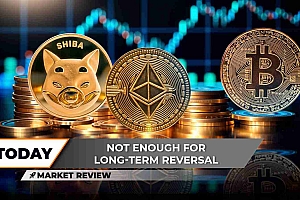 shiba inu,以太坊和比特币:导航加密十字路口