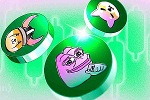 Joe Coin,Meme Coins,增益上升:炒作是什么?