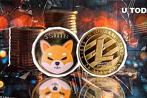 莱特币与什巴·伊努(Shiba Inu):加密货币竞争加热
