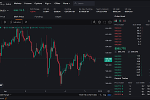 Dogecoin(Doge)Golden Cross Spark短暂的集会,达到0.166美元