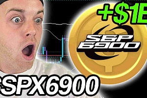 SPX6900(SPX)价格分析