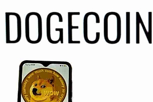 Dogecoin价格预测:WXY校正信号大规模突破?