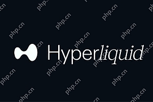 HYPE币发行价和发行量是多少?一文详解