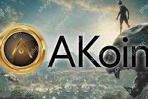 AKN是什么币种?AKN币值得投资吗?