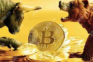2025下一个千倍币可能有哪些?2025可能的千倍币盘点