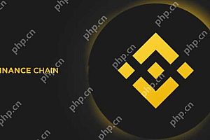 Binance交易所APP安全吗?Binance交易所APP下载官网介绍