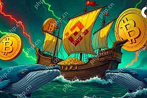 比特币(BTC)发现稳定性接近$ 84,500,因为鲸鱼没有恐慌出售的迹象