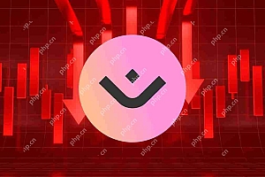 咒语(OM)代币倒塌了90%,消除了数十亿美元的市值