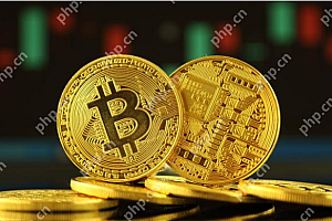 2025年数字虚拟币交易app哪个好?十大数字货币交易所平台推荐