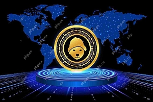 终于是时候让缺点投资者购买Dogwifhat了吗?