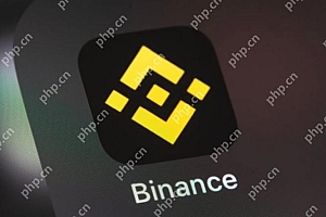 Binance币安交易所最新app下载教程(2025)