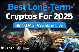 BlockDag(BDAG):2025年最容易说话的加密项目