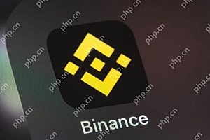 币安APP在哪下载?币安/Binance交易所安装注册全教程
