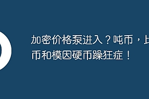 加密价格泵进入?吨币,比特币和模因硬币躁狂症!