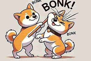 2025年该入手Bonk吗?Bonk 价格预测:2025-2030 年及以后的预期