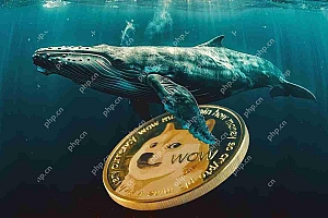 Dogecoin(Doge)鲸鱼再次搅动,但这一次不是零售商人发出声音。这是鲸鱼。