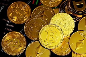 最新十大正规的数字货币交易平台 2025年货币交易所排名榜单一览