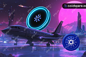 高希望将Cardano保留在前10名CoinMarketCap中,冷软件从抢夺ADA排名