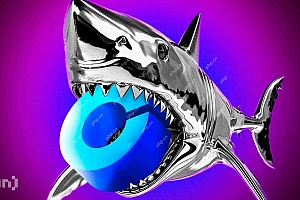 Coinbase的基本层2网络在看来是泵和垃圾场之后面临严格的审查