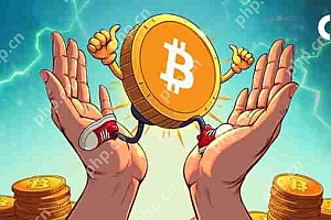比特币继续攀升,在过去一周中增长了10%以上