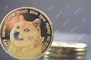 Dogecoin(Doge)价格目标表明突破可能达到$ 0.8000