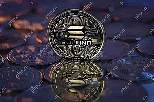 Solana(Sol)价格预测:此图表显示了市场的前进