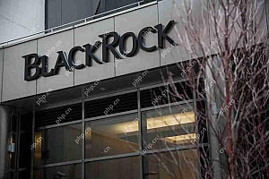 由贝莱德(Blackrock)领导