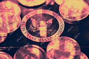 用于Staking TRX ETF的金丝雀资本档案,定位在Spot Bitcoin ETF之前发布