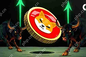 Shiba INU(SHIB)价格预测:湿布很快就会增加500%以上,达到$ 0.0001