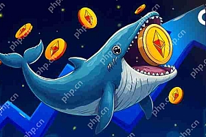 经过2。8年的不活动,一条鲸鱼购买了3,659.83 ETH,价值588万美元