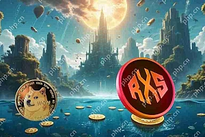 从模因到数百万:如何在2025年重复Dogecoin的狂野骑行