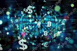 Metaplanet首席执行官西蒙·格罗维奇(Simon Gerovich)揭幕计划将公司当前比特币库存的两倍多