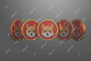 Shiba Inu(Shib)价格变动与比特币(BTC)密切相关