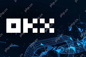十大数字虚拟币交易app排行榜 十大数字货币交易所排行榜2025年