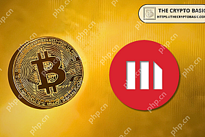 策略(以前称为MicroStrategy)已在其资产负债表中增加了6,556个比特币(BTC)