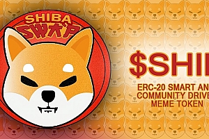 柴犬币疯狂涨跌?揭秘 meme 币的投资风险