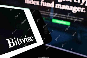 Bitwise已注册了一个名为BITWISE附近ETF的新实体,这标志着其在美国启动基于协议的ETF的第一步
