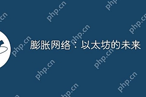 膨胀网络:以太坊的未来